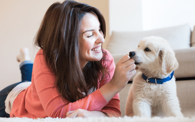 Preparing Your Home for a New Puppy: Must-Have Supplies and Setup Tips