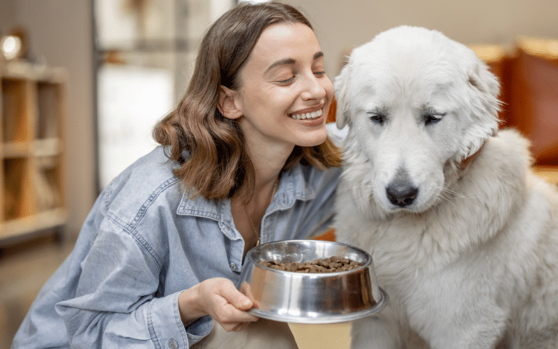 Comparing Wet vs. Dry Dog Food: Which is Better for Your Pup?